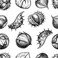 Seamless pattern with chestnut fruits. graphics depicting chestnut fruits in the peel and without the peel, fried and raw. A black and white hand-drawn illustration. On a white background. vector