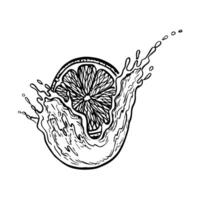 A slice of citrus fruit in juice. graphic illustration of sliced juicy lime, orange, grapefruit. A black and white hand-drawn image of citrus fruits. For menus, labels, cooking recipes. vector