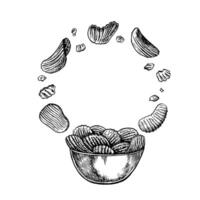 Potato chips in a bowl. graphics depicting chips with a corrugated surface falling into a bowl in the form of a round frame. Black and white hand-drawn illustration. On a white background. vector