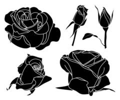 Simple rose silhouette collection. Half-opened, half-blossomed, fully open and buttons. Black solid shapes, isolated contour on white. Coloring book page, line art, illustration, digital, Valentine vector