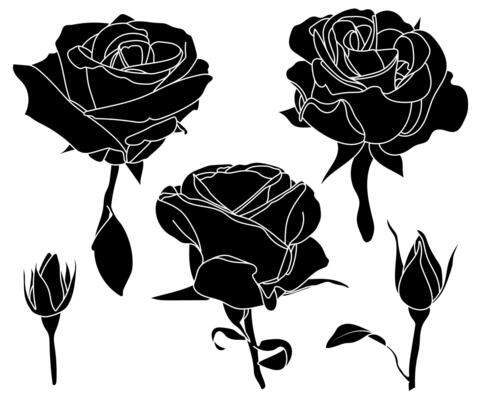 Roses set. Simple floral silhouettes collection. Half-opened, half-blossomed, fully open, buttons. Black solid contour, isolated shape. Coloring book page, line art, illustration, digital, Valentine