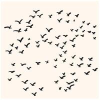 Birds flying With illustration style doodle and line art vector
