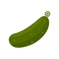 Cucumber Flat Design Vegetable Illustration vector