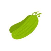 Cucumber in cartoon style on a white background. vector