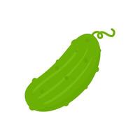 cucumber vegetable isolated, flat design illustration of whole cucumber vector