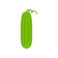 Cucumber vegetable icon isolated on white background vector