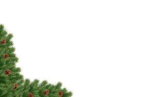 Coniferous tree twigs corner frame with pinecones realistic icon. Spruce Christmas holidays ornament 3d object illustration on white vector
