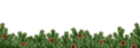 Fir branches and pinecones arranged in garland realistic icon. Christmas frame of coniferous twigs 3d object illustration on white vector