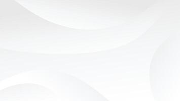 abstract white background with elegant line decortation vector