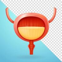 Bladder, 3d elements vector