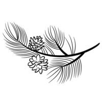Pine branch and cones. Element in sketch style for the design. vector