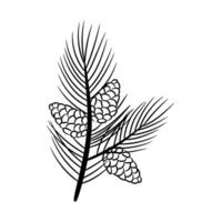 Pine branch with cones. Element in sketch style for the design of holiday card, pattern, banner. vector