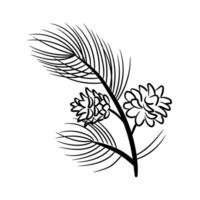 Pine branch and cones. Element in sketch style for the design. vector