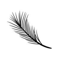 Pine branch. Design element in sketch style. vector