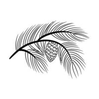 Pine branch with cone. Element in sketch style for the design of holiday card, pattern, banner. vector
