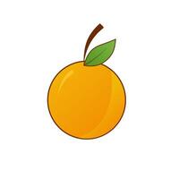 simple illustration of a picked citrus fruit vector