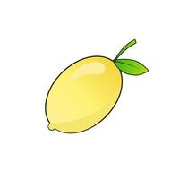 simple illustration of lemon fruit vector