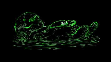 Neon frame effect, Sea Otter sea otter floating on its back with a big smile on black background video