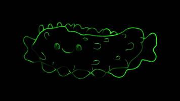 Neon frame effect, Barnacle barnacle with an adorable faceon black background video