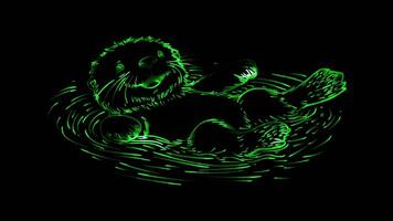 Neon frame effect, Sea Otter sea otter floating on its back with a big smile on black background video