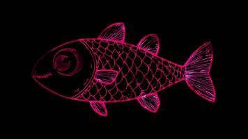 Neon frame effect, Sardine small sardine with a cheerful face and lots of scales to color on black background video