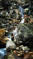 A mini waterfall with rushing water flows over large rocks covered in green and brown moss. Several wooden logs lie around, enhancing the beauty of the wild nature. photo