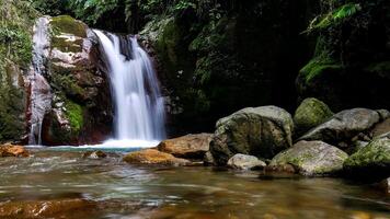 A small waterfall flows rapidly in the middle of a lush tropical forest, surrounded by moss-covered large rocks and green trees in Mount Halimun Salak National Park, Bogor, Indonesia. photo