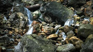 A mini waterfall with rushing water flows over large rocks covered in green and brown moss. Several wooden logs lie around, enhancing the beauty of the wild nature. photo