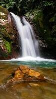Gleweran is the name of this small waterfall, flowing from a cliff covered in green moss, with large rocks and tropical trees around it. Located in Mount Halimun Salak National Park, Bogor, Indonesia. photo