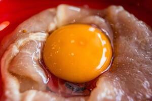 Fresh Egg Yolk and Chicken Meat for Cooking Preparation photo