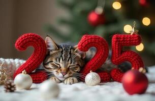 Cozy cat sleeping amidst festive holiday decor with red knitted numbers. merry christmas and Happy 2025 new Year photo