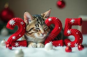 Adorable cat and knitted festive numbers 2025. Happy new year photo