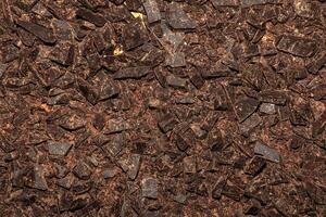 Grated cocoa background, top view, texture. Grated cocoa is one of the ingredients in making chocolate at home. Close-up of crushed cocoa, top view. photo