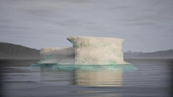 A towering iceberg floats serenely in calm waters near the coastline video