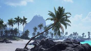 Serene beach landscape in Tahiti with palm trees and rocky shorelines at dusk video