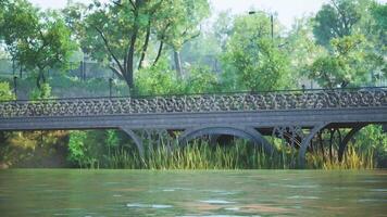 Scenic view of a historic bridge over water surrounded by lush greenery video