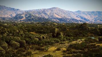 Vast desert landscape with rugged mountains and greenery on a sunny day video