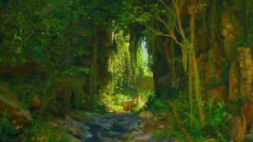 Lush green valley with sunlight filtering through trees in rural China video