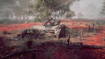 Red earth and a fallen tree create an eerie vibe in the bush video