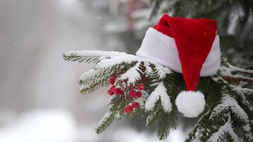 A red santa cap is on a tree branch with a beautiful winter snowy landscape representing Christmas photo