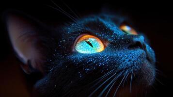 A cat with glowing eyes stares into the darkness, reflecting a starry sky photo