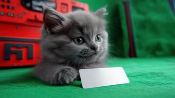 A fluffy grey kitten explores a small white card with intrigue on a bright green mat photo
