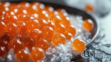 Salmon roe shines brightly on crushed ice, highlighting its enticing texture and color photo