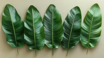 Vibrant leaves laid out beautifully on a soft, neutral surface create a serene atmosphere photo