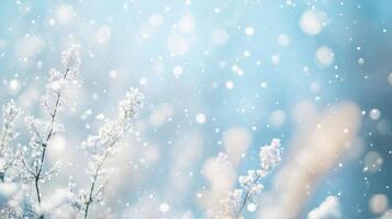 Imagine a serene winter scene with softly falling snowflakes against a dreamy blue background, creating a peaceful atmosphere perfect for festive celebrations and artistic projects photo