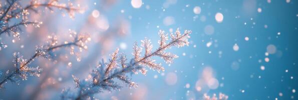 A serene and tranquil winter scene filled with delicate snowflakes and shimmering frost elements that make it absolutely perfect for joyful celebrations and artistic designs of all kinds photo