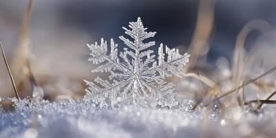 A breathtakingly stunning closeup of an intricately designed snowflake resting gently on a frosty surface, perfectly capturing the exquisite essence of winters unparalleled beauty and tranquility photo