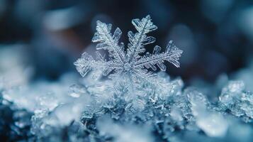 A detailed snowflake rests on pristine snow, capturing winters enchanting magic and showcasing natures breathtaking beauty in diverse forms and textures during this festive season photo