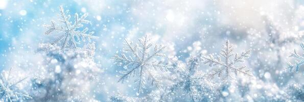 A wonderfully beautiful snowcovered background that features an array of delicate snowflakes and a captivating soft blue hue, effectively capturing the essence of joyful winter celebrations photo