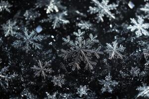 A stunning and detailed closeup of intricate snowflakes beautifully captured against a dark backdrop, perfectly showcasing the amazing beauty and uniqueness of winters delicate, artistic creation photo